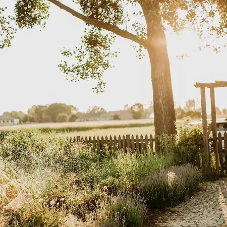 Hotel Luliraj Maniewo