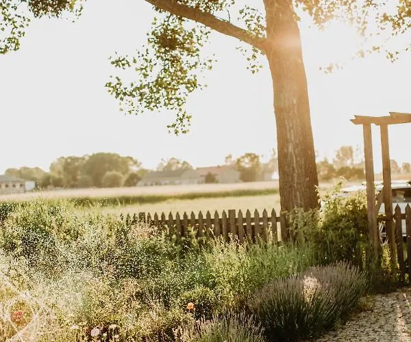 Hotel Luliraj Maniewo